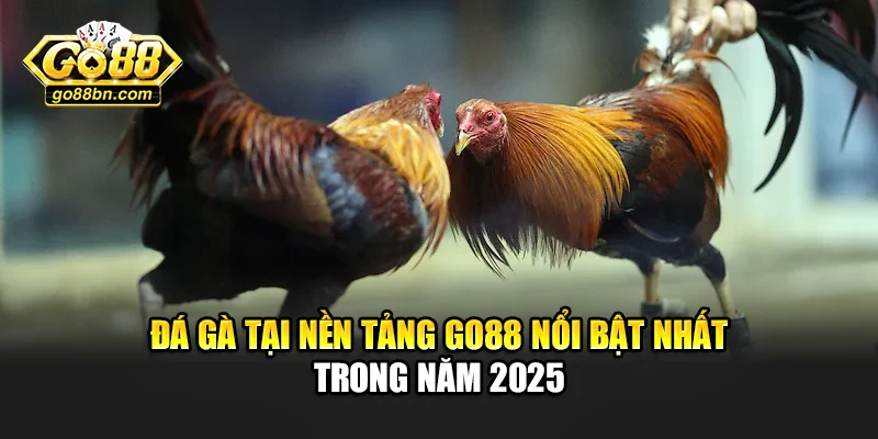 Đá gà tại nền tảng Go88 nổi bật nhất trong năm 2025