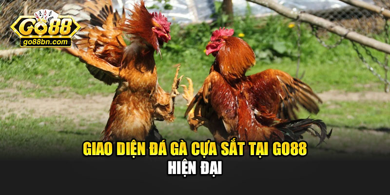 Giao diện đá gà cựa sắt tại Go88 hiện đại