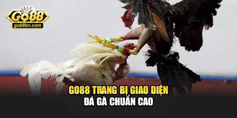 Go88 trang bị giao diện đá gà chuẩn cao