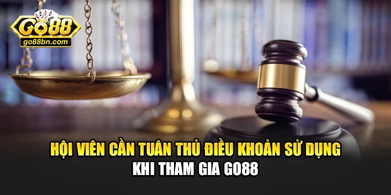 Hội viên cần tuân thủ điều khoản sử dụng khi tham gia Go88