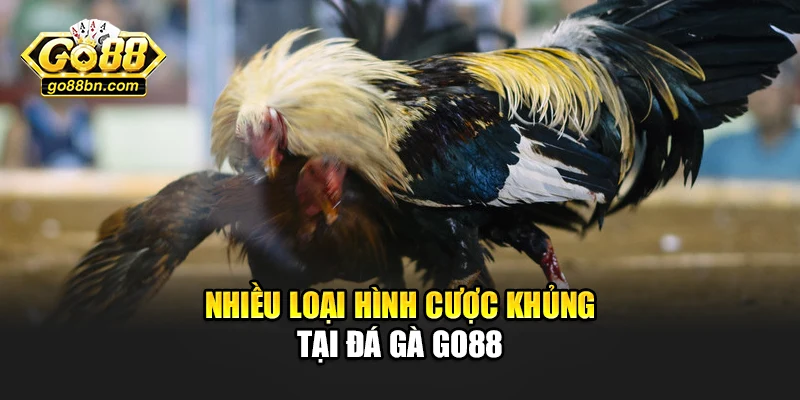 Nhiều loại hình cược khủng tại đá gà Go88