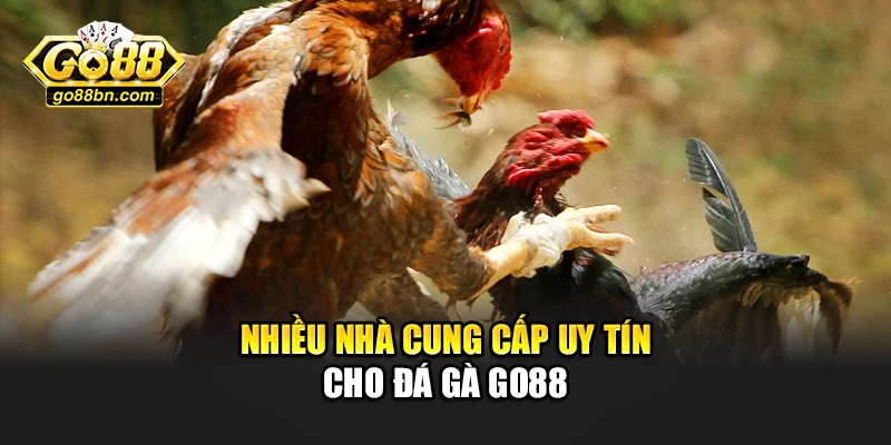 Nhiều nhà cung cấp uy tín cho đá gà Go88