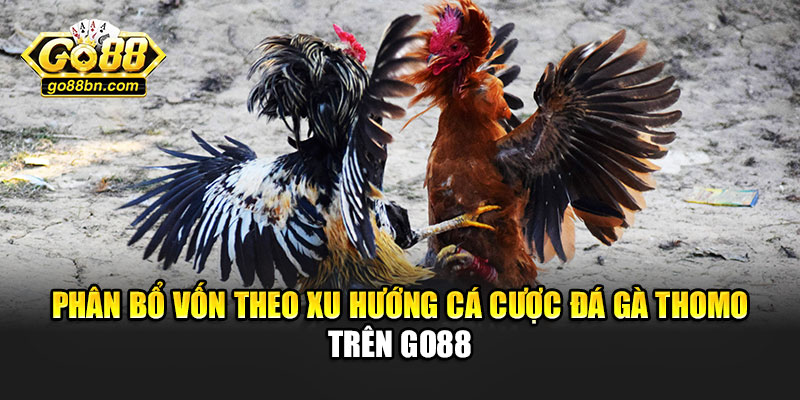 Phân bổ vốn theo xu hướng cá cược đá gà thomo trên Go88