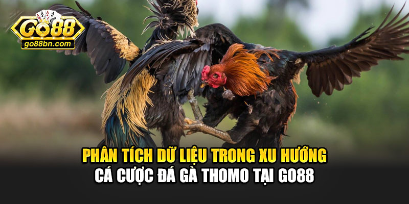 Phân tích dữ liệu trong xu hướng cá cược đá gà thomo tại Go88
